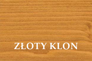 Złoty klon 3123