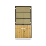 Nowoczesna witryna z dębowego drewna ze szkłem do salonu DENIS