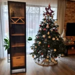 Witryna CARLA - realizacja